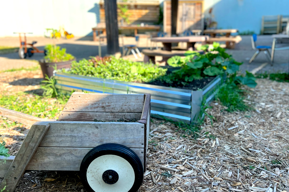 Outdoor classroom space showing multiple garden beds, a wooded wheel barrow, as well as outdoor classroom space with desks.