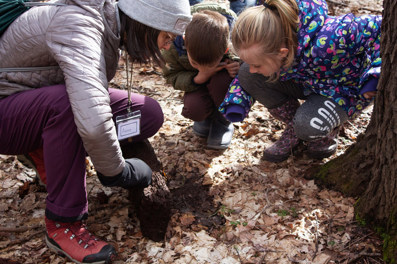 Lead Guide, Anne Wester, knelt down with two students as they all turn over a log to discover what is underneath. The ground is covered in leaves and all three are wearing winter coats and hiking boots.