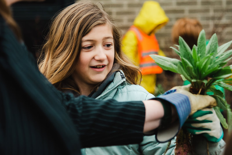 Child holds up a plant, smiling, and grips the base in a joint hold with an adult hand