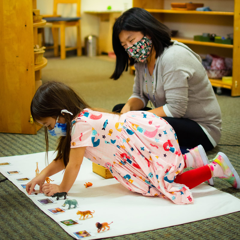 A small child leaned over a Montessori work rug lined with small animal figurines and animal cards as a Lead Guide peers over at her, smiling